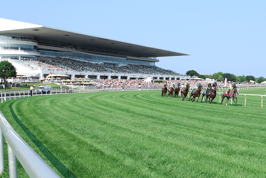 ArlingtonRaceCourse